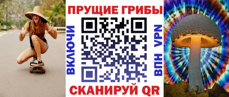 Галлюциногенные грибы мицелий Купить Ардатов