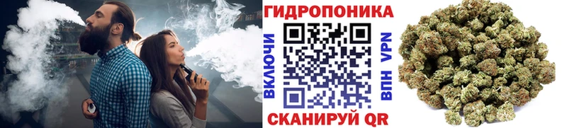 Купить закладки Ардатов Шишки марихуана сатива